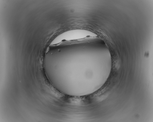 X0000091590661200709101041