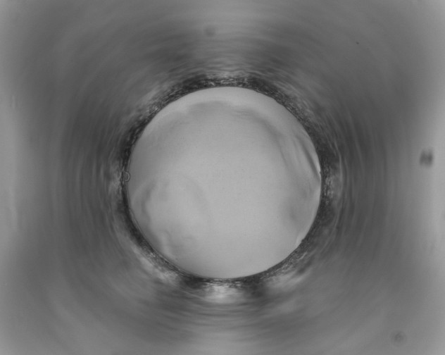 X0000091590662200709101041