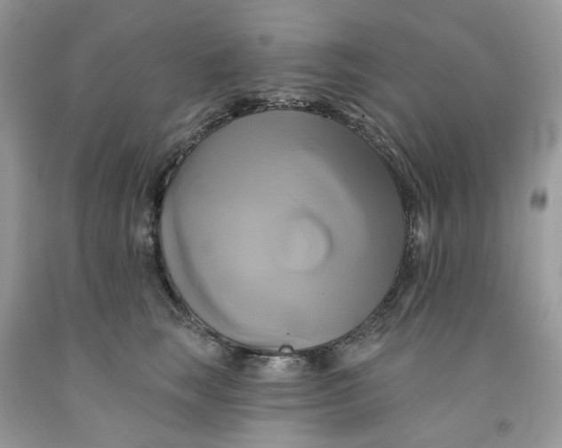 X0000091590663200709101041