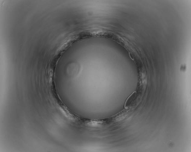 X0000091590664200709101041