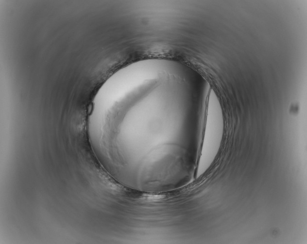 X0000091590665200709101041