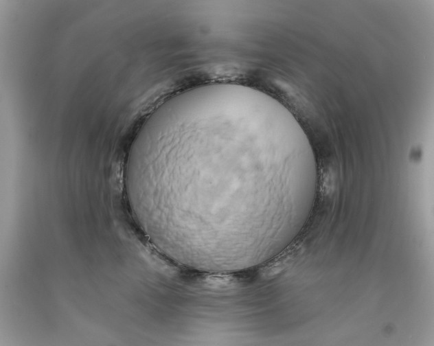 X0000091590666200709101041