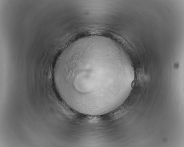 X0000091590667200709101041