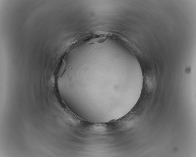 X0000091590668200709101041