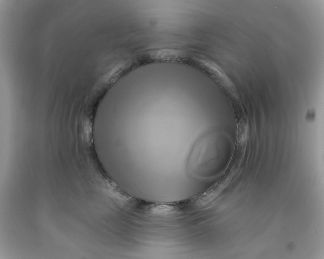 X0000091590669200709101041