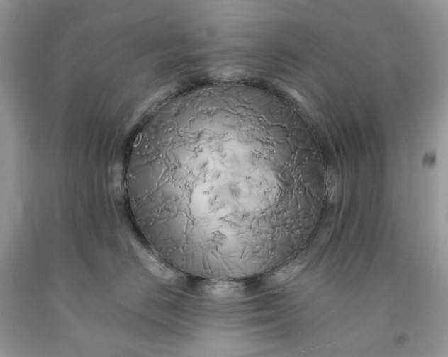 X0000091590670200709101041