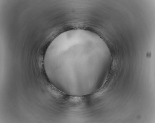 X0000091590671200709101041