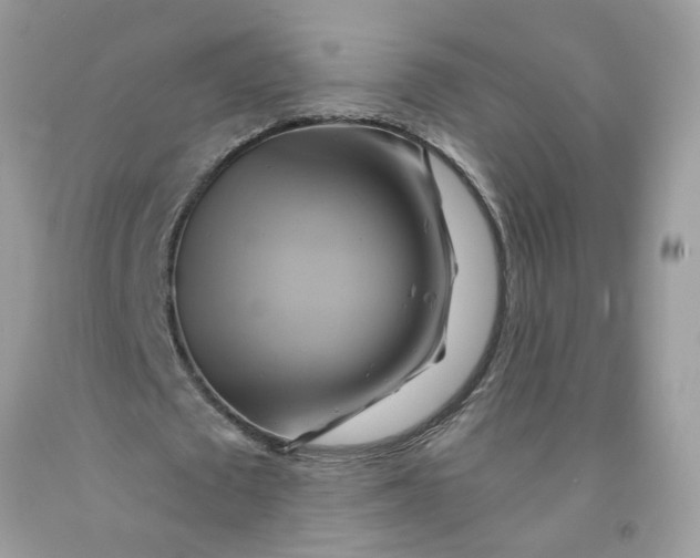 X0000091590673200709101041