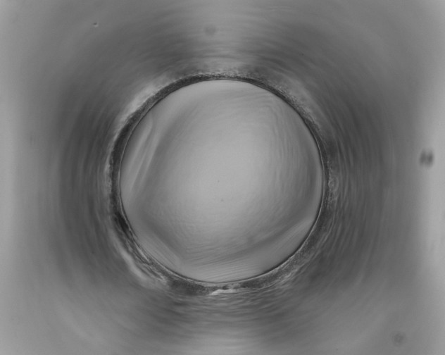 X0000091590674200709101041