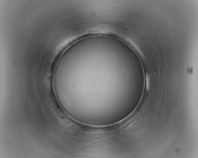 X0000091590675200709101041