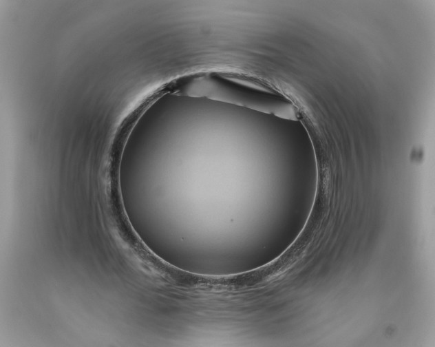 X0000091590676200709101041