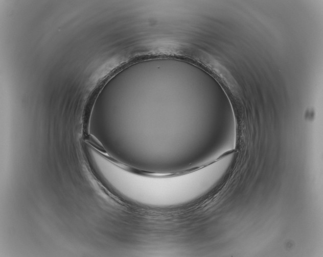 X0000091590677200709101041