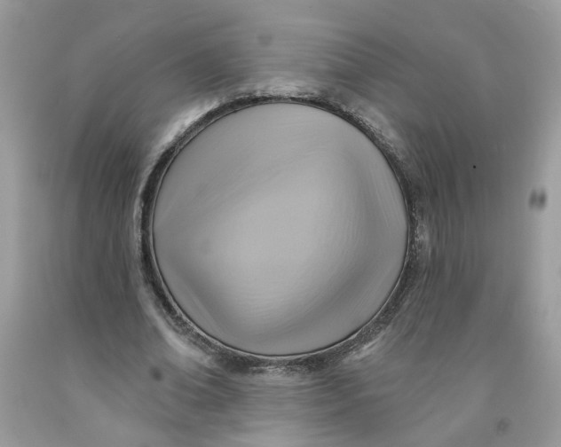 X0000091590678200709101041