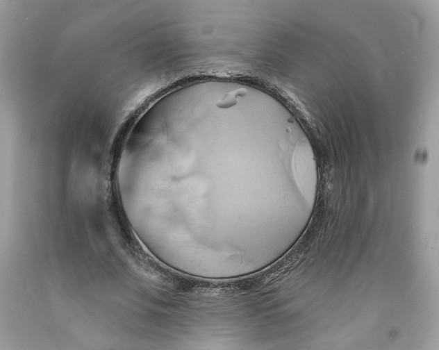 X0000091590679200709101041