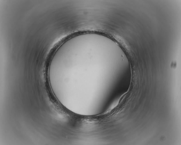 X0000091590680200709101041