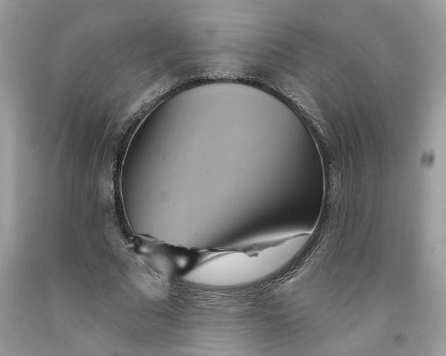 X0000091590681200709101041