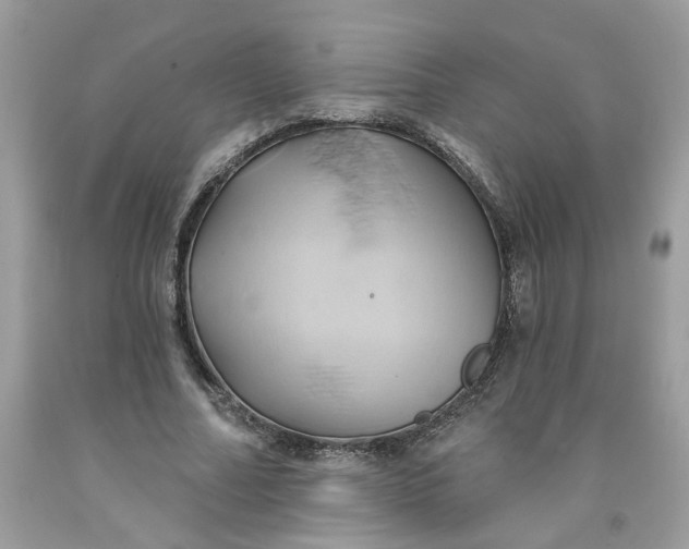 X0000091590682200709101041