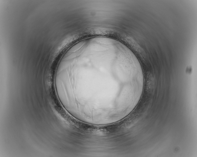 X0000091590683200709101041