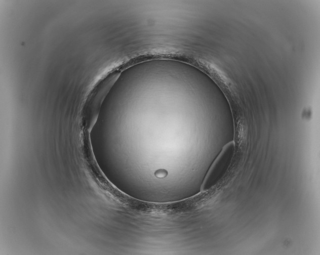 X0000091590684200709101041