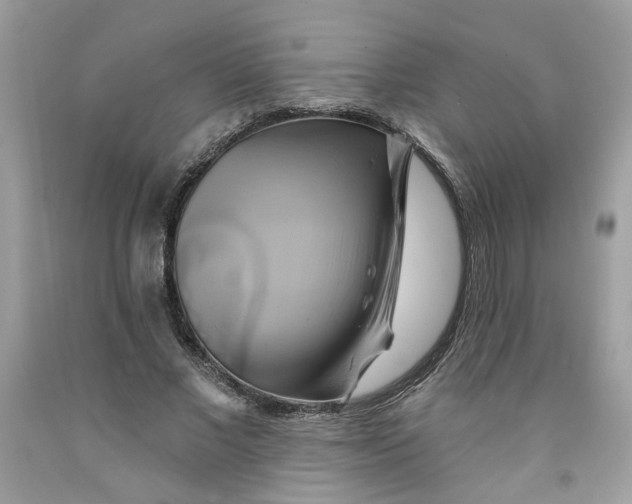 X0000091590685200709101041