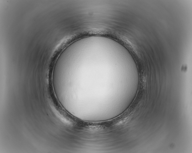 X0000091590686200709101040