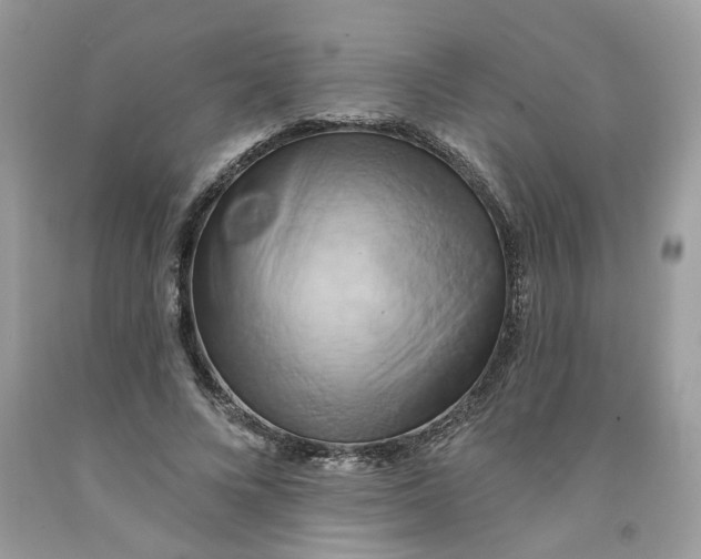 X0000091590688200709101040