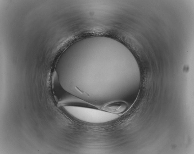 X0000091590689200709101040