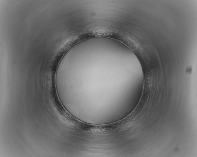 X0000091590690200709101040