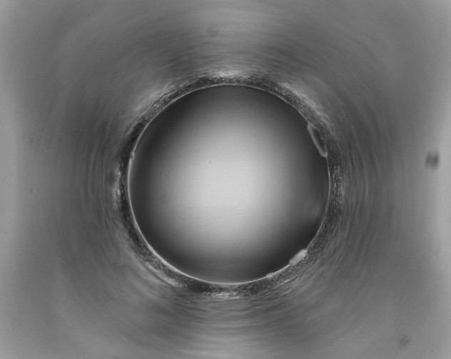 X0000091590692200709101040