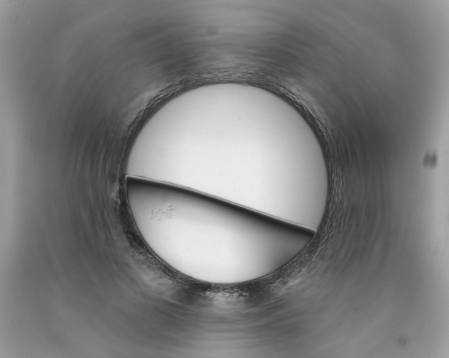 X0000091590693200709101040