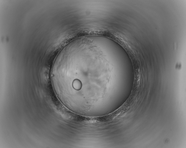 X0000091590695200709101040