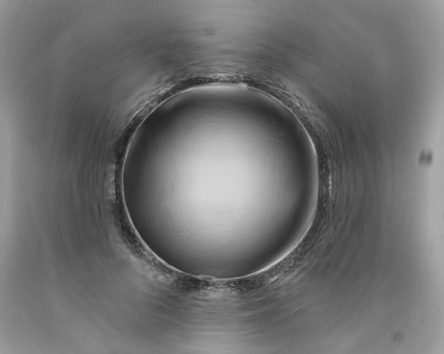 X0000091590696200709101040