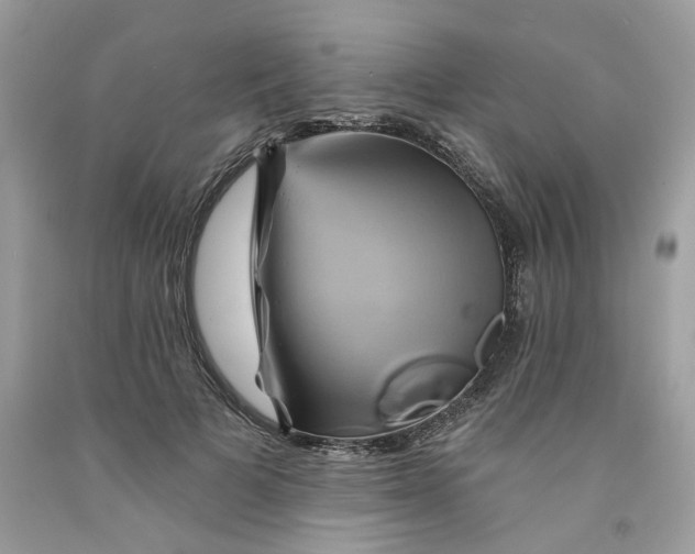 X0000091590697200709101040