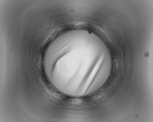 X0000091590698200709101040