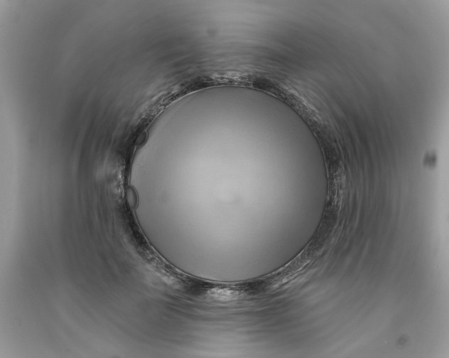 X0000091590699200709101040