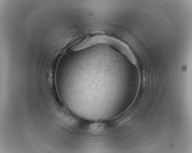 X0000091590700200709101040