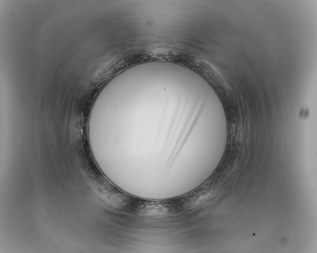 X0000091590702200709101040