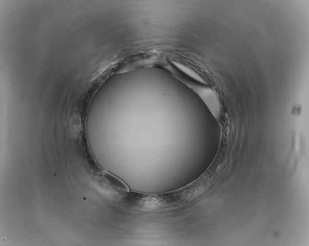 X0000091590704200709101040