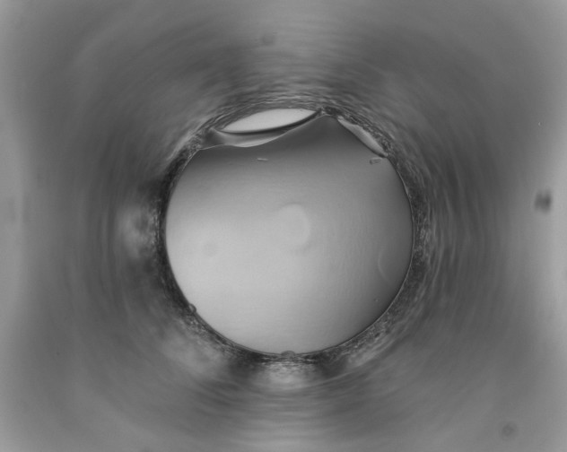 X0000091590708200709101040