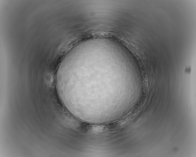 X0000091590709200709101040