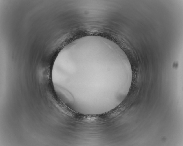 X0000091590710200709101040