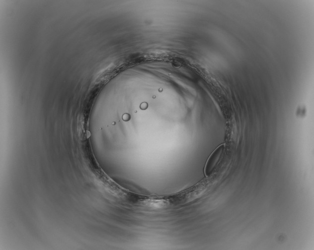 X0000091590711200709101040