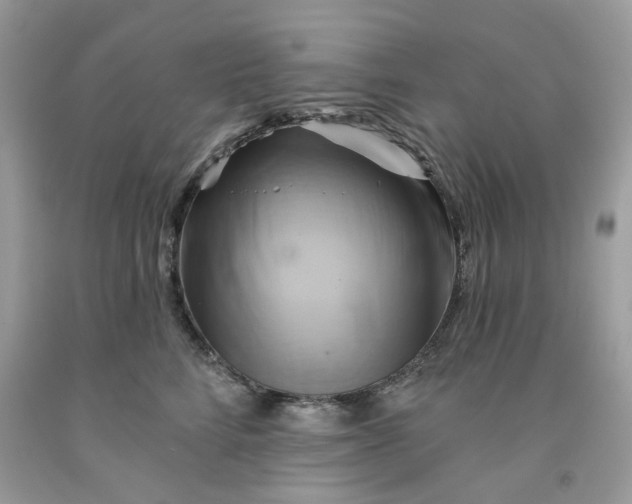 X0000091590712200709101040