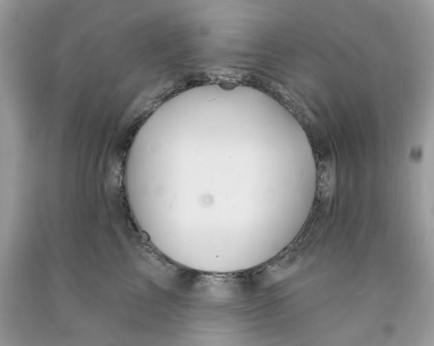 X0000091590713200709101040