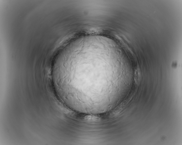 X0000091590714200709101040