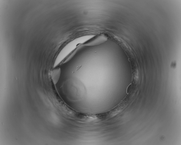 X0000091590715200709101040