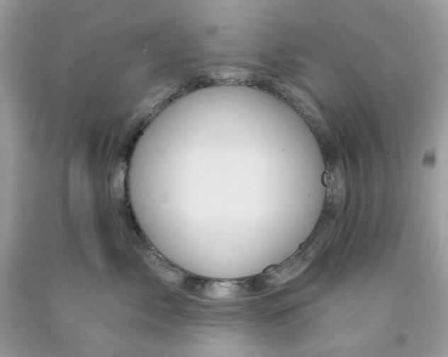 X0000091590717200709101040