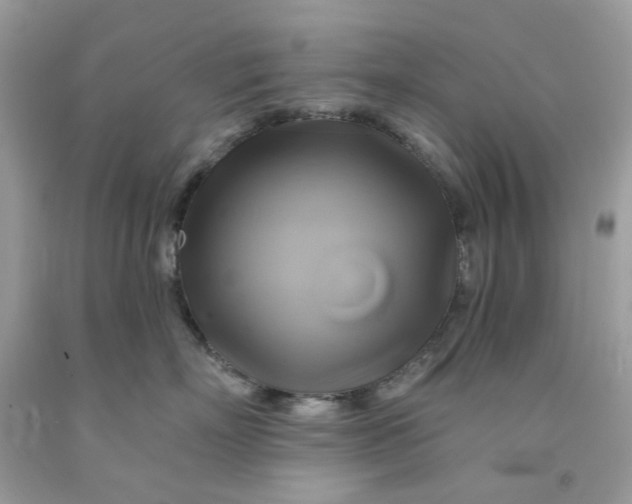 X0000091590718200709101040