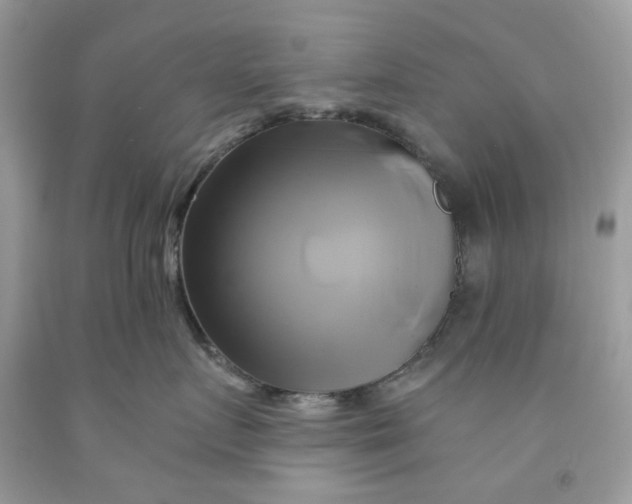 X0000091590719200709101040