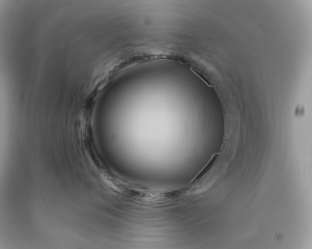 X0000091590720200709101040